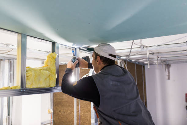 Best Energy Efficiency Solutions in Chester, VA