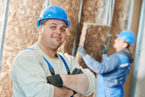 Best Insulation Maintenance and Repair in Chester, VA